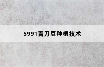 5991青刀豆种植技术
