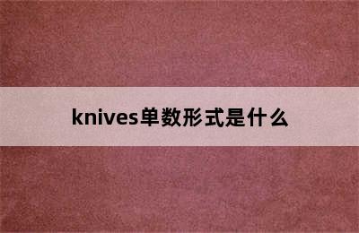 knives单数形式是什么