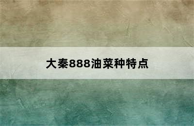 大秦888油菜种特点