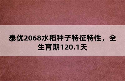泰优2068水稻种子特征特性，全生育期120.1天