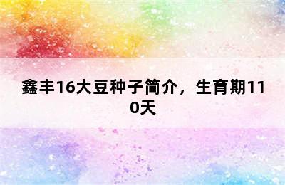 鑫丰16大豆种子简介，生育期110天